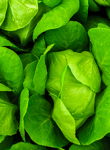 Il nostro amministratore