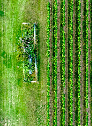 I brand inseriti nel Gruppo