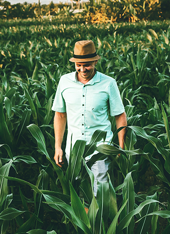 Il valore della collaborazione