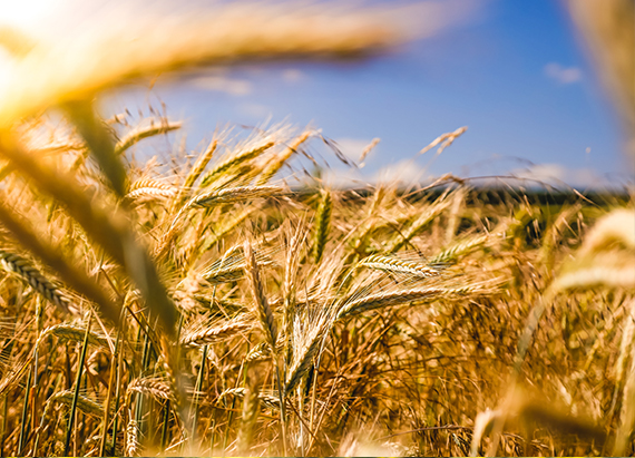 Un orizzonte in continua espansione
